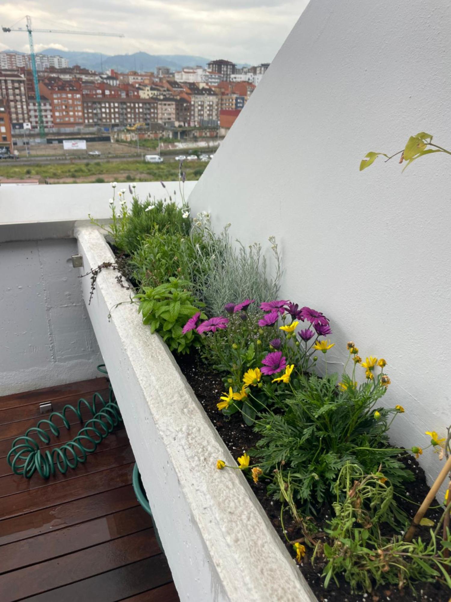El Atico De La Playa Parking Gratis Apartman Gijón Kültér fotó